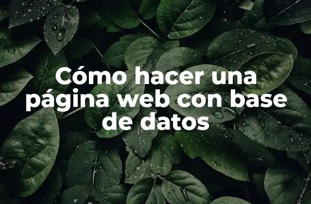 Cómo Hacer una Página Web con Base de Datos