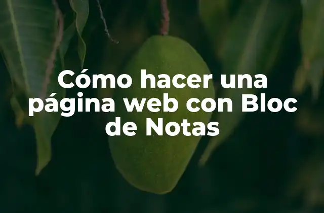 Cómo Hacer una Página Web con Bloc de Notas