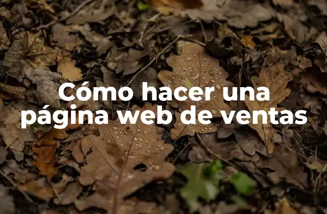 Cómo Hacer una Página Web de Ventas 2 Cómo hacer una página web de ventas