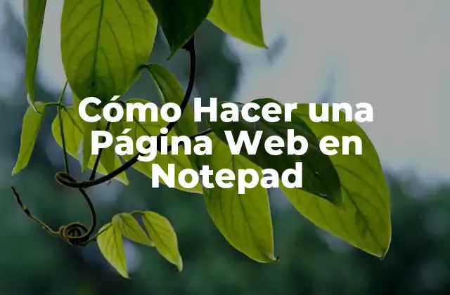 Cómo Hacer una Página Web en Notepad 2 Cómo Hacer una Página Web en Notepad
