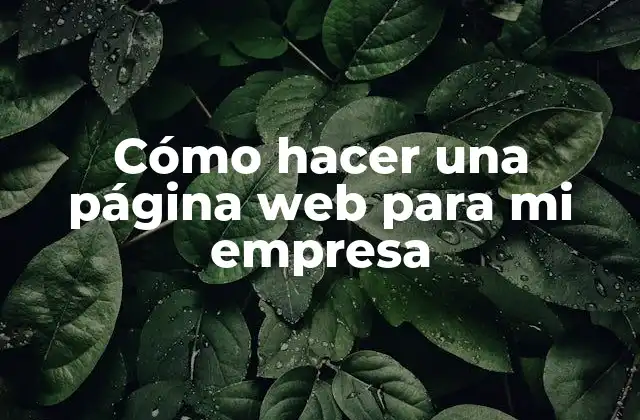Cómo Hacer una Página Web para Mi Empresa