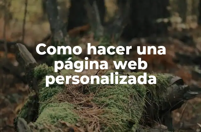Como Hacer una Página Web Personalizada