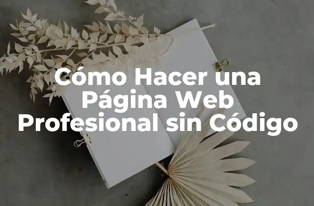 Cómo Hacer una Página Web Profesional sin Código