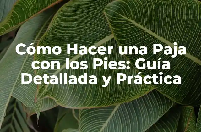 Cómo Hacer una Paja con los Pies: Guía Detallada y Práctica