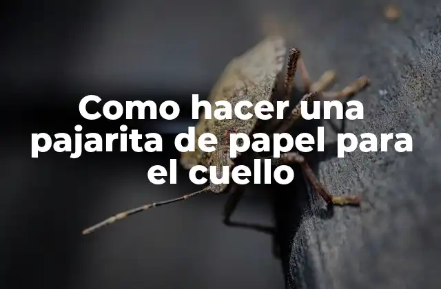 Como Hacer una Pajarita de Papel para el Cuello