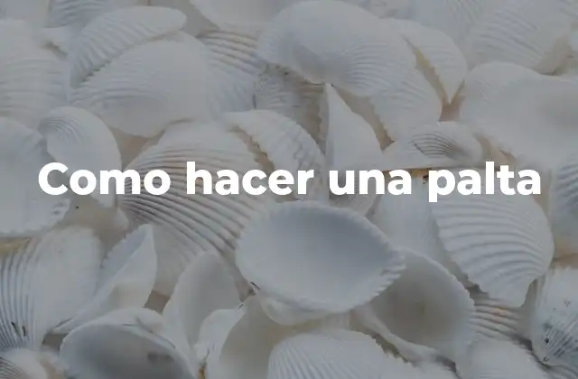 ¿Qué es una palta y para qué sirve?