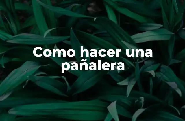 Como Hacer una Pañalera