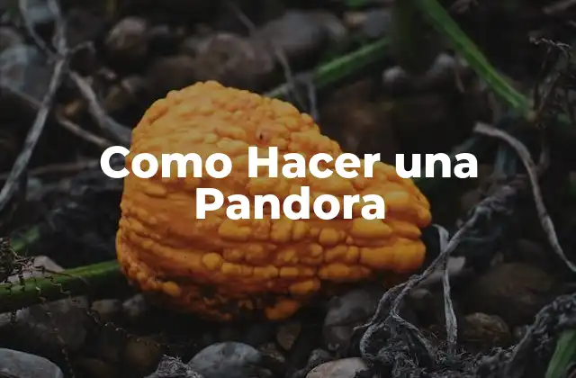 ¿Qué es una Pandora y para qué Sirve?
