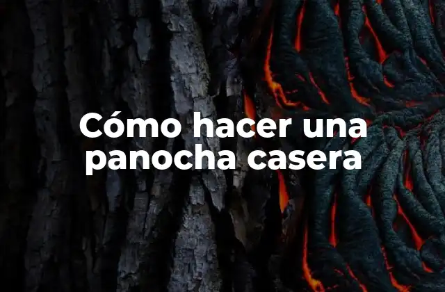 Cómo Hacer una Panocha Casera