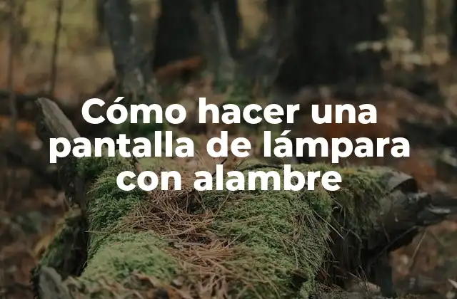 Cómo Hacer una Pantalla de Lámpara con Alambre
