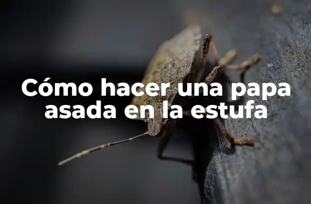 Cómo Hacer una Papa Asada en la Estufa