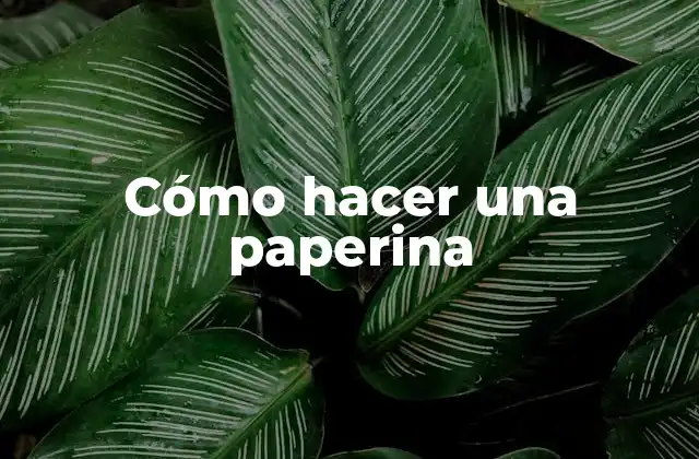 Cómo Hacer una Paperina