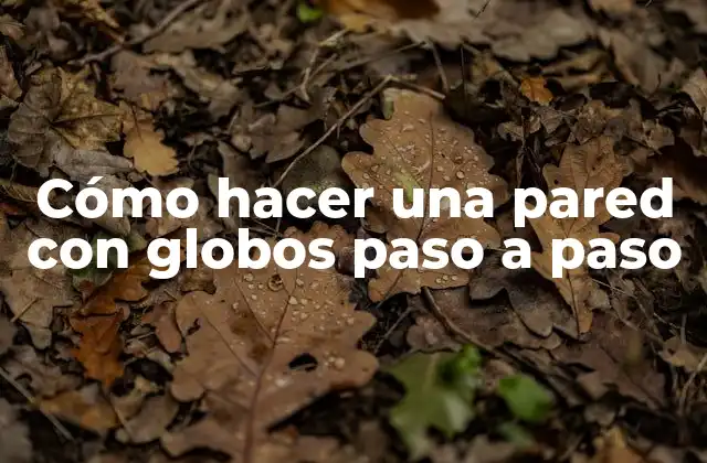 Cómo Hacer una Pared con Globos Paso a Paso