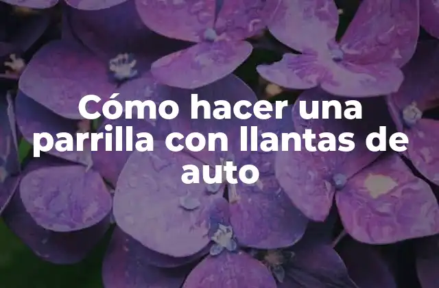 Cómo Hacer una Parrilla con Llantas de Auto 2 Cómo hacer una parrilla con llantas de auto