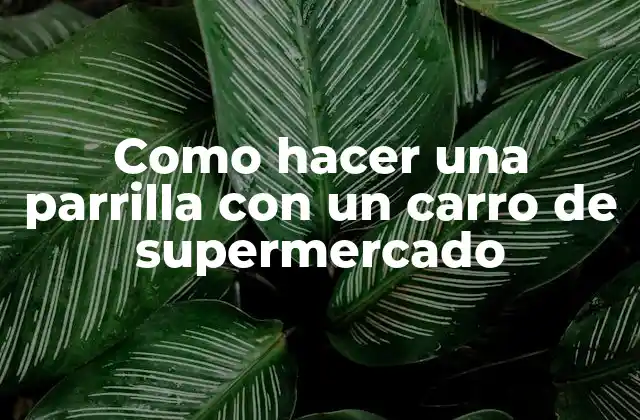 Como Hacer una Parrilla con un Carro de Supermercado