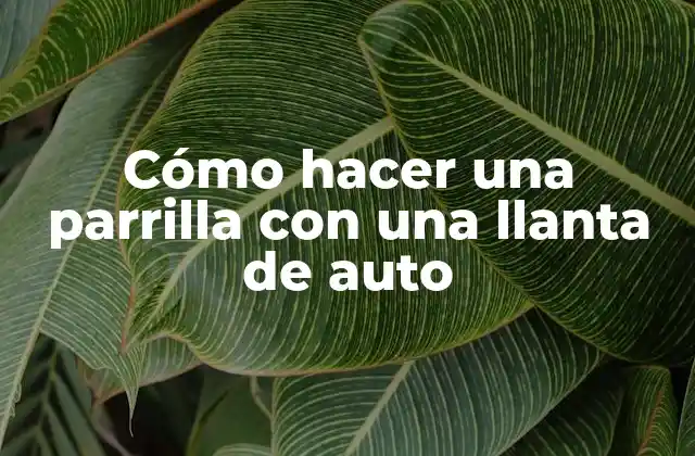 Cómo Hacer una Parrilla con una Llanta de Auto