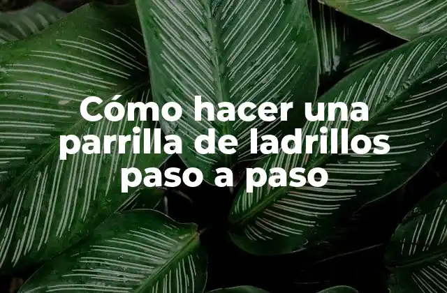 Cómo Hacer una Parrilla de Ladrillos Paso a Paso