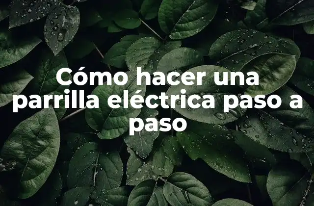 Cómo Hacer una Parrilla Eléctrica Paso a Paso