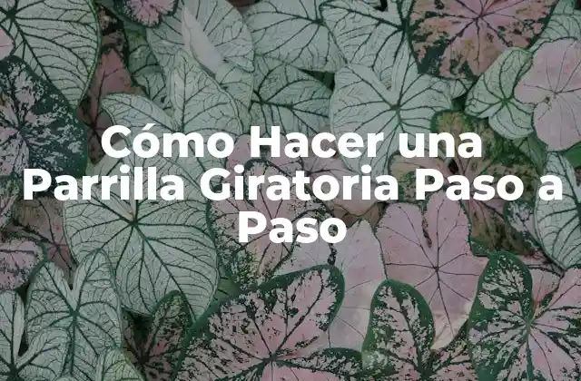 Cómo Hacer una Parrilla Giratoria Paso a Paso 2 ¿Qué es una Parrilla Giratoria y para Qué Sirve?