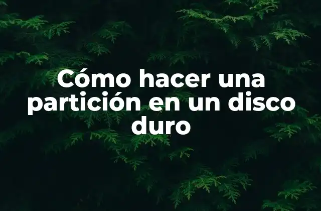 Cómo Hacer una Partición en un Disco Duro