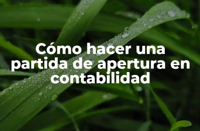 Cómo Hacer una Partida de Apertura en Contabilidad