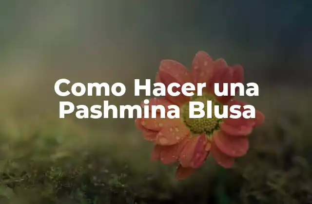 ¿Qué es una Pashmina Blusa?
