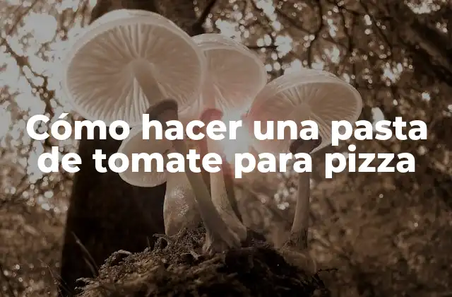Cómo Hacer una Pasta de Tomate para Pizza