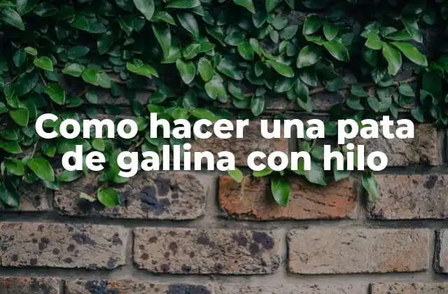 Como Hacer una Pata de Gallina con Hilo