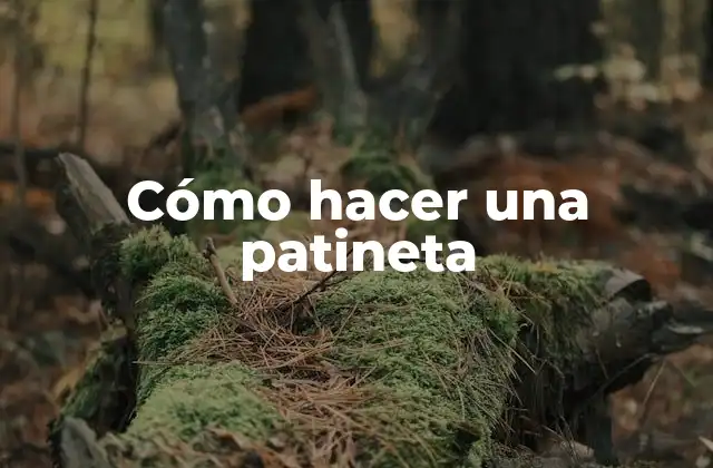 Cómo Hacer una Patineta