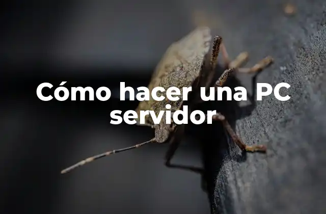 Cómo Hacer una Pc Servidor