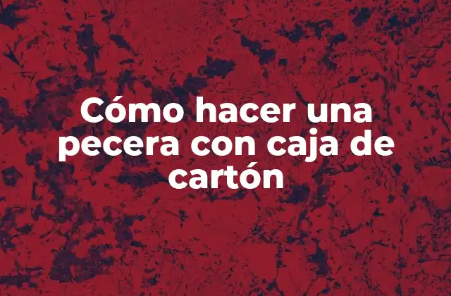 Cómo Hacer una Pecera con Caja de Cartón