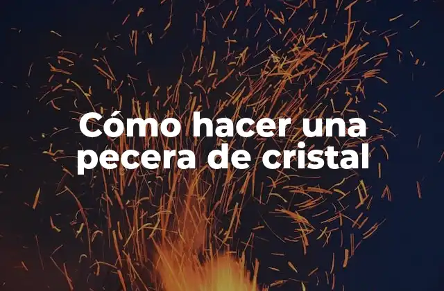 Cómo Hacer una Pecera de Cristal 2 Cómo hacer una pecera de cristal