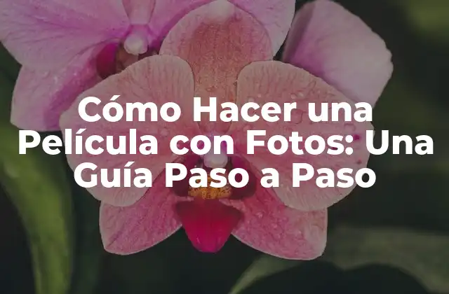 Cómo Hacer una Película con Fotos: una Guía Paso a Paso