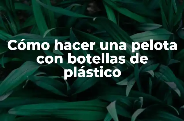 Cómo hacer una pelota con botellas de plástico