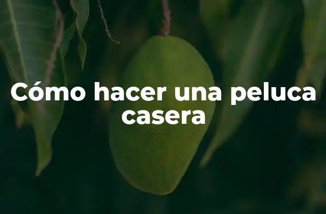 Cómo Hacer una Peluca Casera