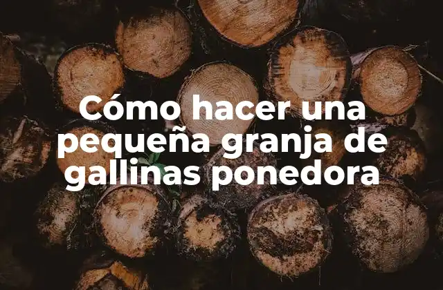 Cómo Hacer una Pequeña Granja de Gallinas Ponedora