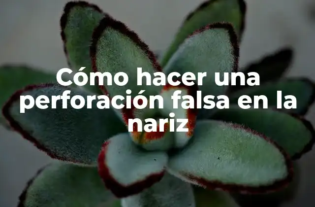 Cómo Hacer una Perforación Falsa en la Nariz 2 Cómo hacer una perforación falsa en la nariz