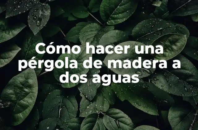 Cómo Hacer una Pérgola de Madera a Dos Aguas
