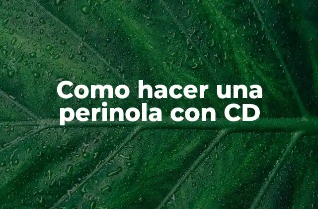 Como Hacer una Perinola con Cd