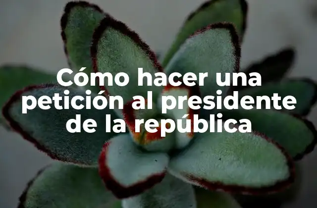 Cómo Hacer una Petición Al Presidente de la República