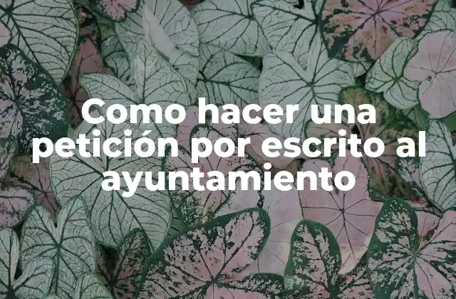 Como Hacer una Petición por Escrito Al Ayuntamiento