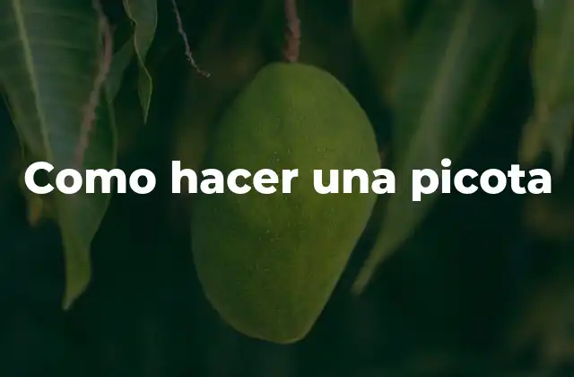 Como Hacer una Picota