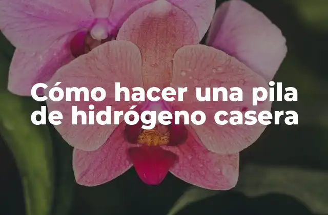 Cómo Hacer una Pila de Hidrógeno Casera