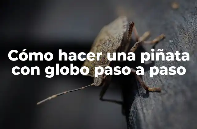 Cómo Hacer una Piñata con Globo Paso a Paso