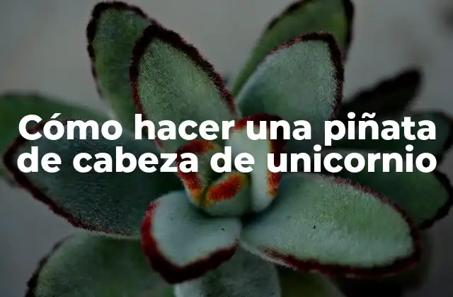 Cómo Hacer una Piñata de Cabeza de Unicornio