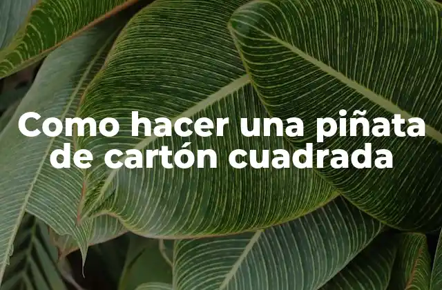 Como Hacer una Piñata de Cartón Cuadrada