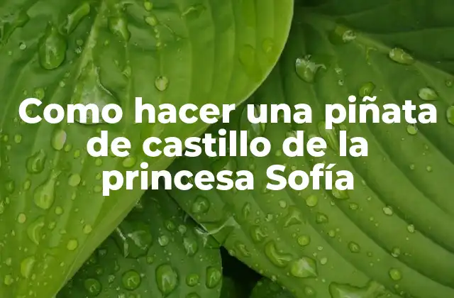 Como Hacer una Piñata de Castillo de la Princesa Sofía