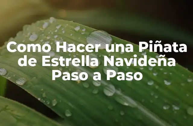 Como Hacer una Piñata de Estrella Navideña Paso a Paso