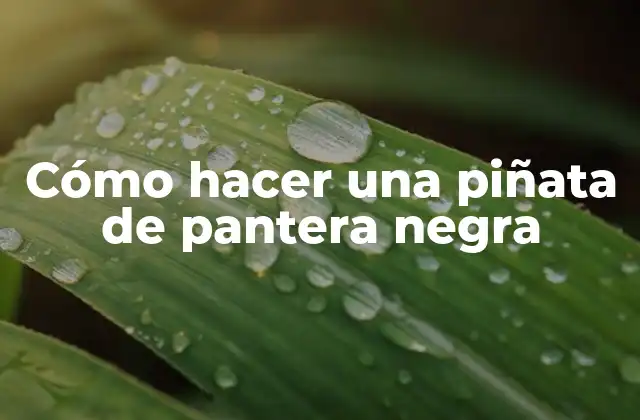 Cómo Hacer una Piñata de Pantera Negra