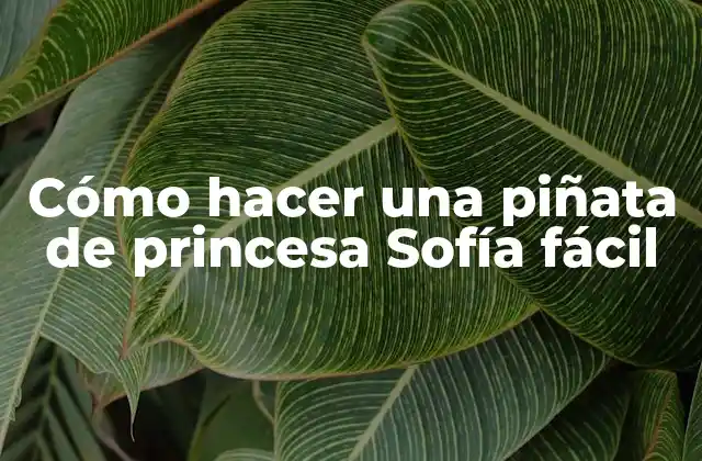 Cómo Hacer una Piñata de Princesa Sofía Fácil